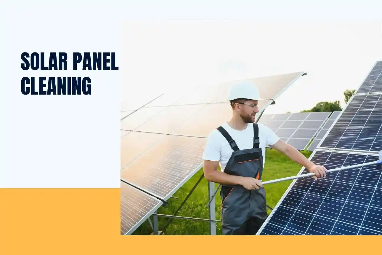 solar panel cleaning